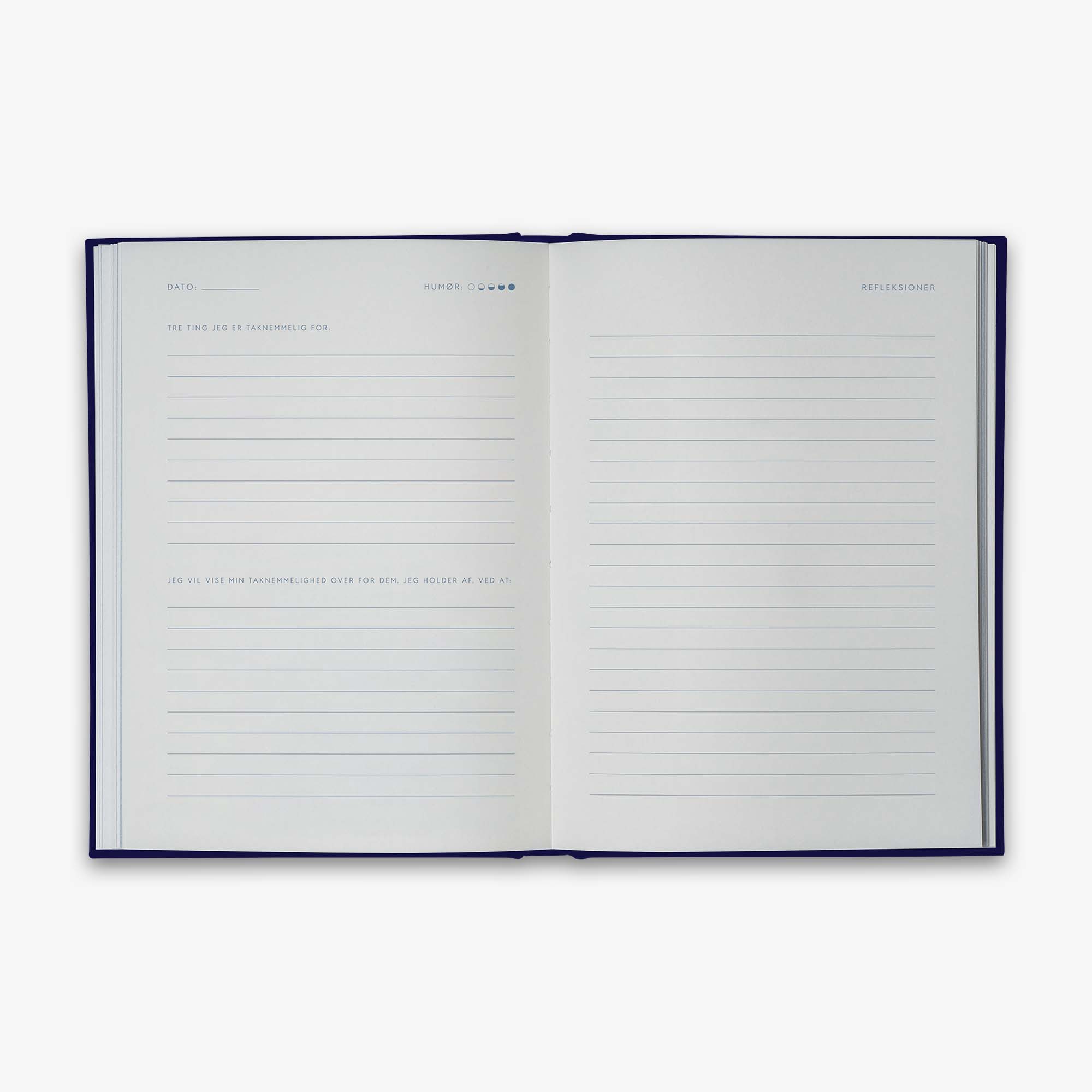 REFLEKSIONSDAGBOG (DANISH)