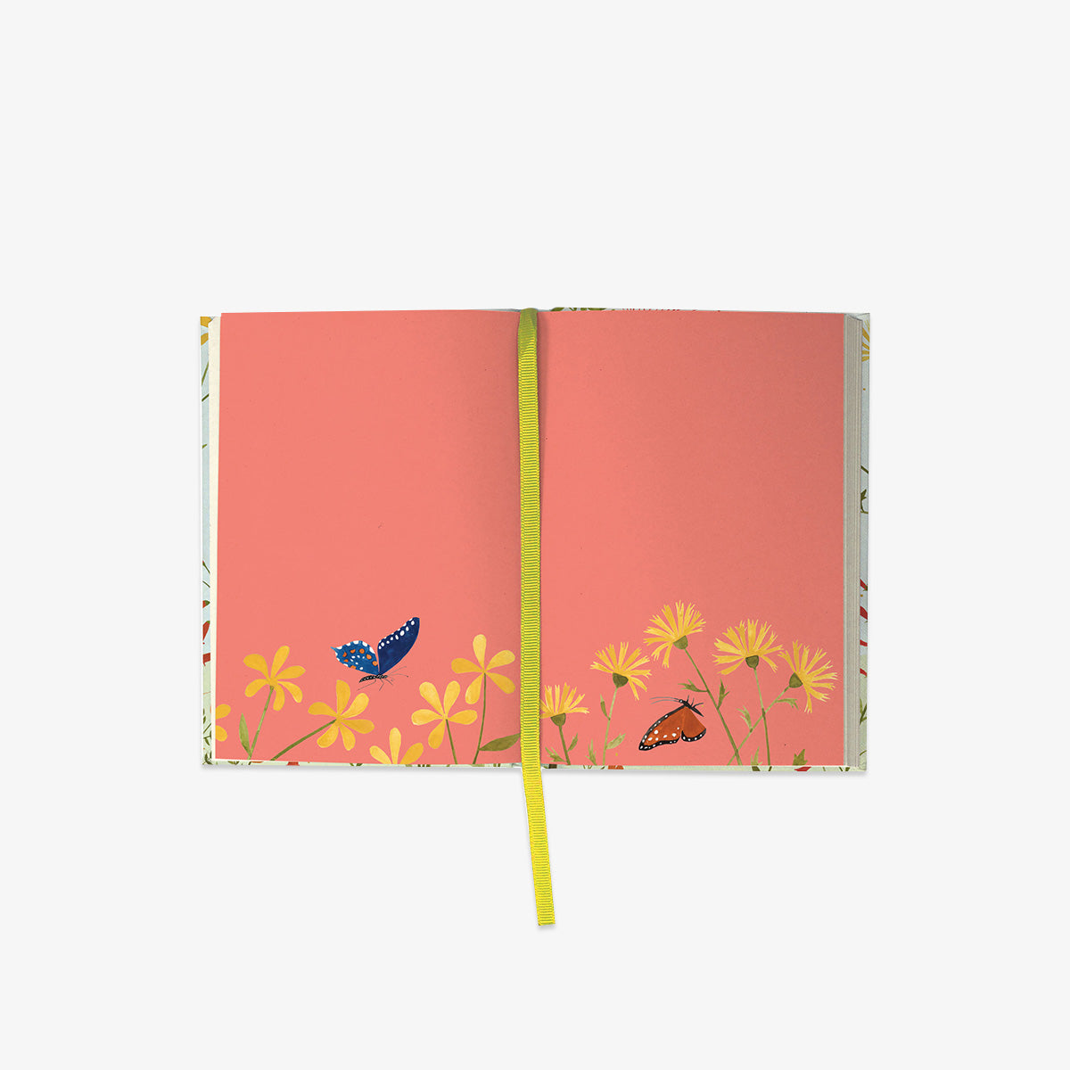 ILLUSTRATED JOURNAL // HUMMINGBIRD