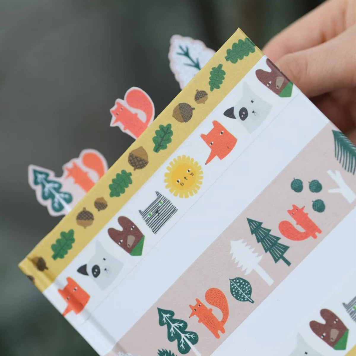 MT MASKING TAPE // CYRIL IN THE FOREST