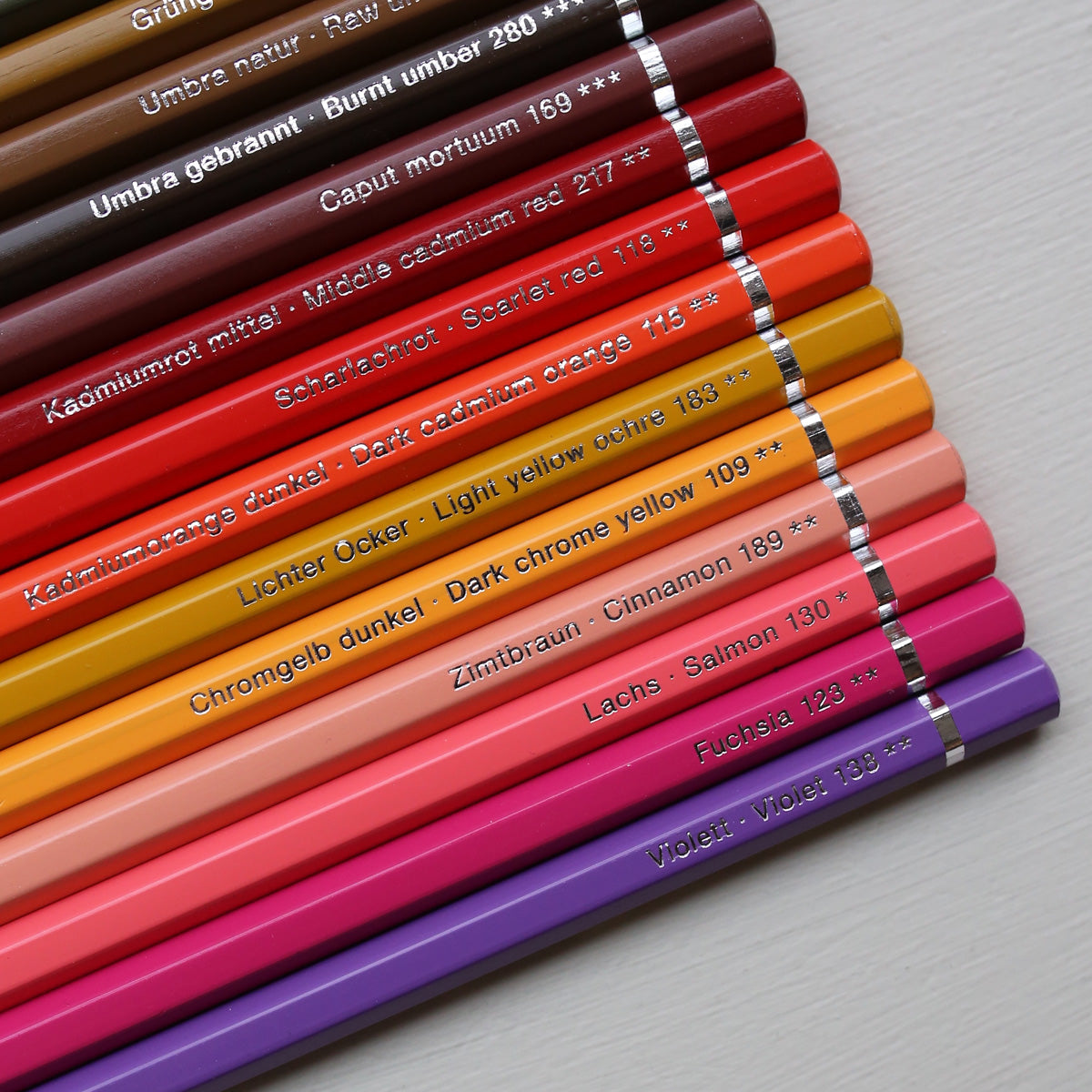 ALBRECHT DÜRER WATERCOLOUR PENCIL // CAPUT MORTUUM