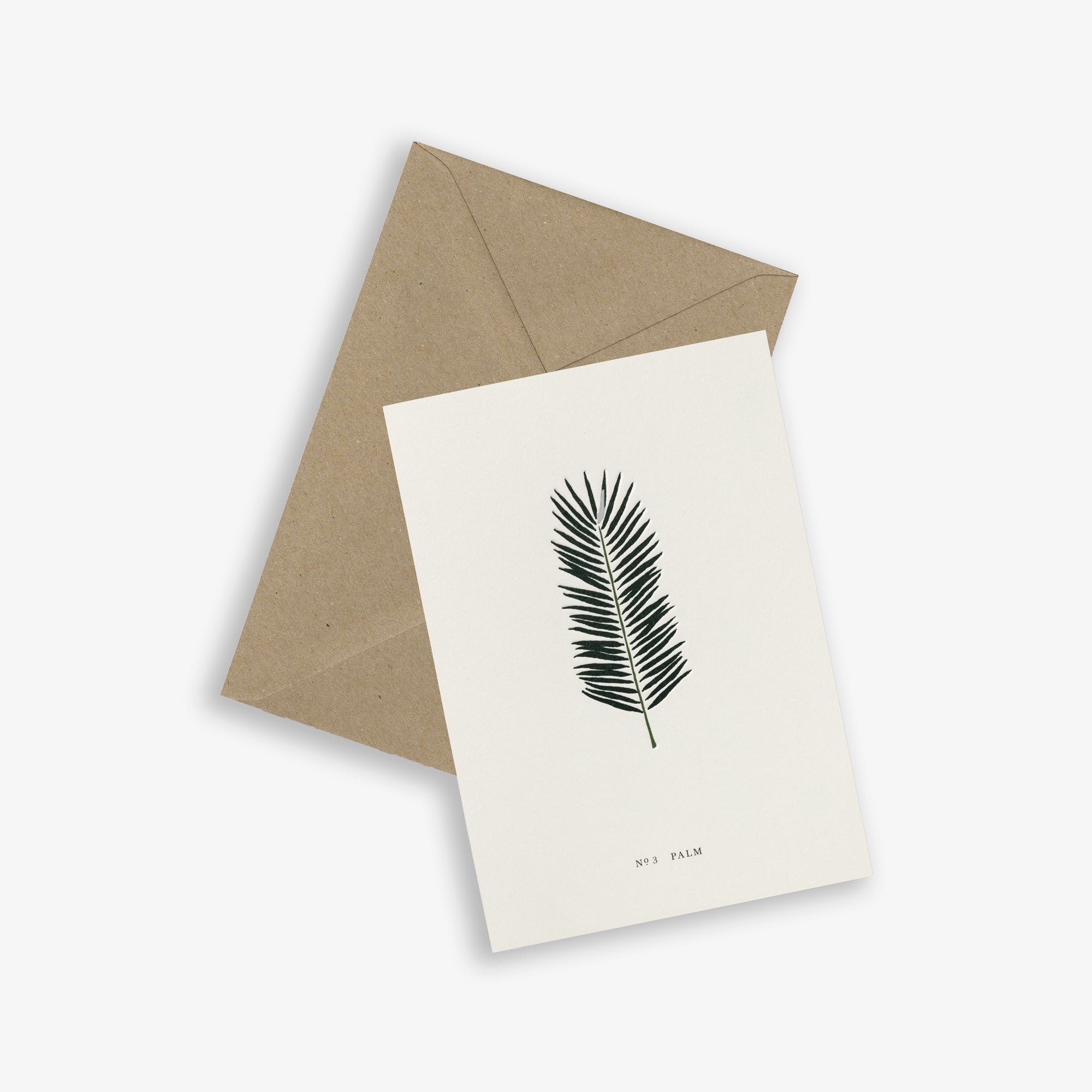 GREETING CARD // PALM