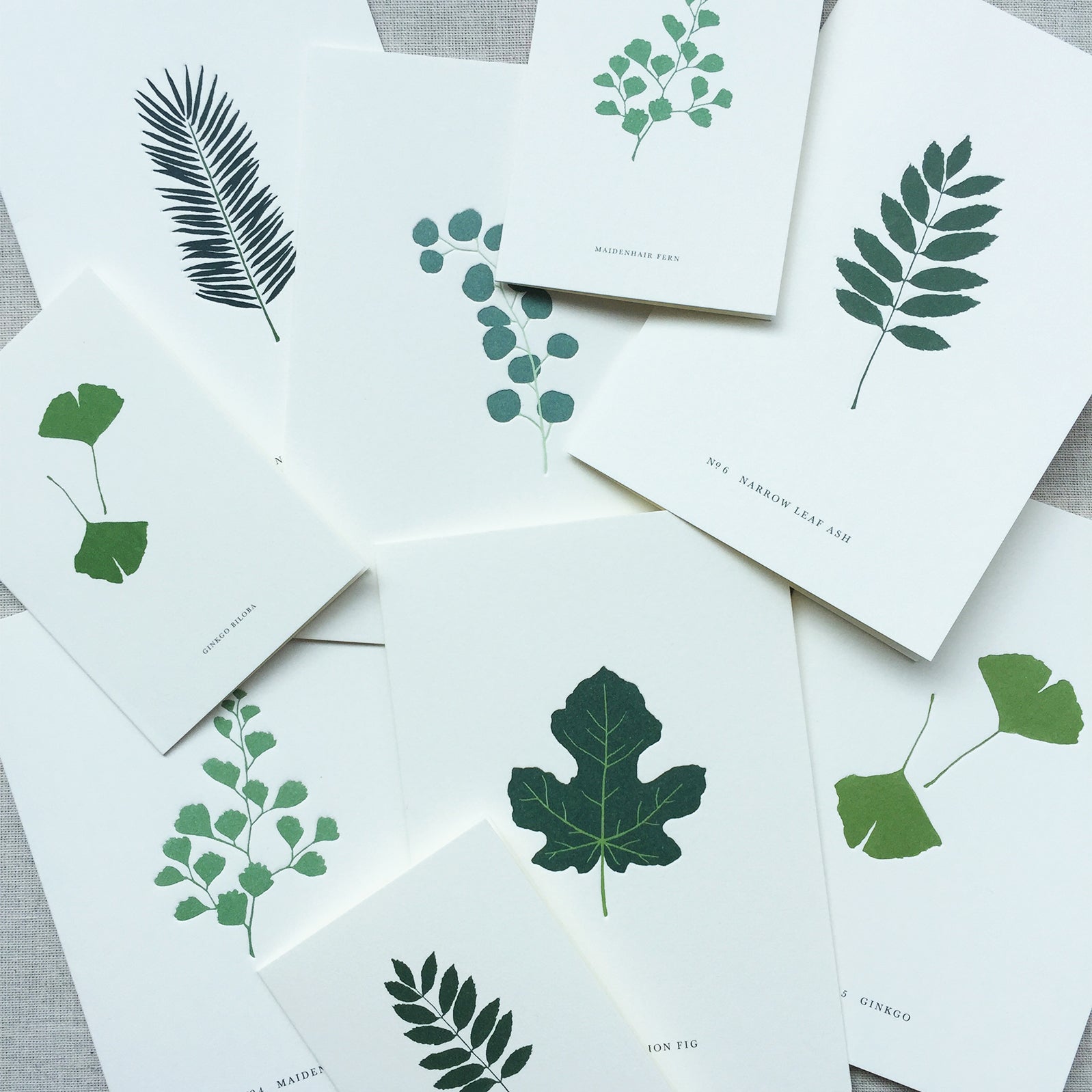 SMALL GREETING CARD // FERN