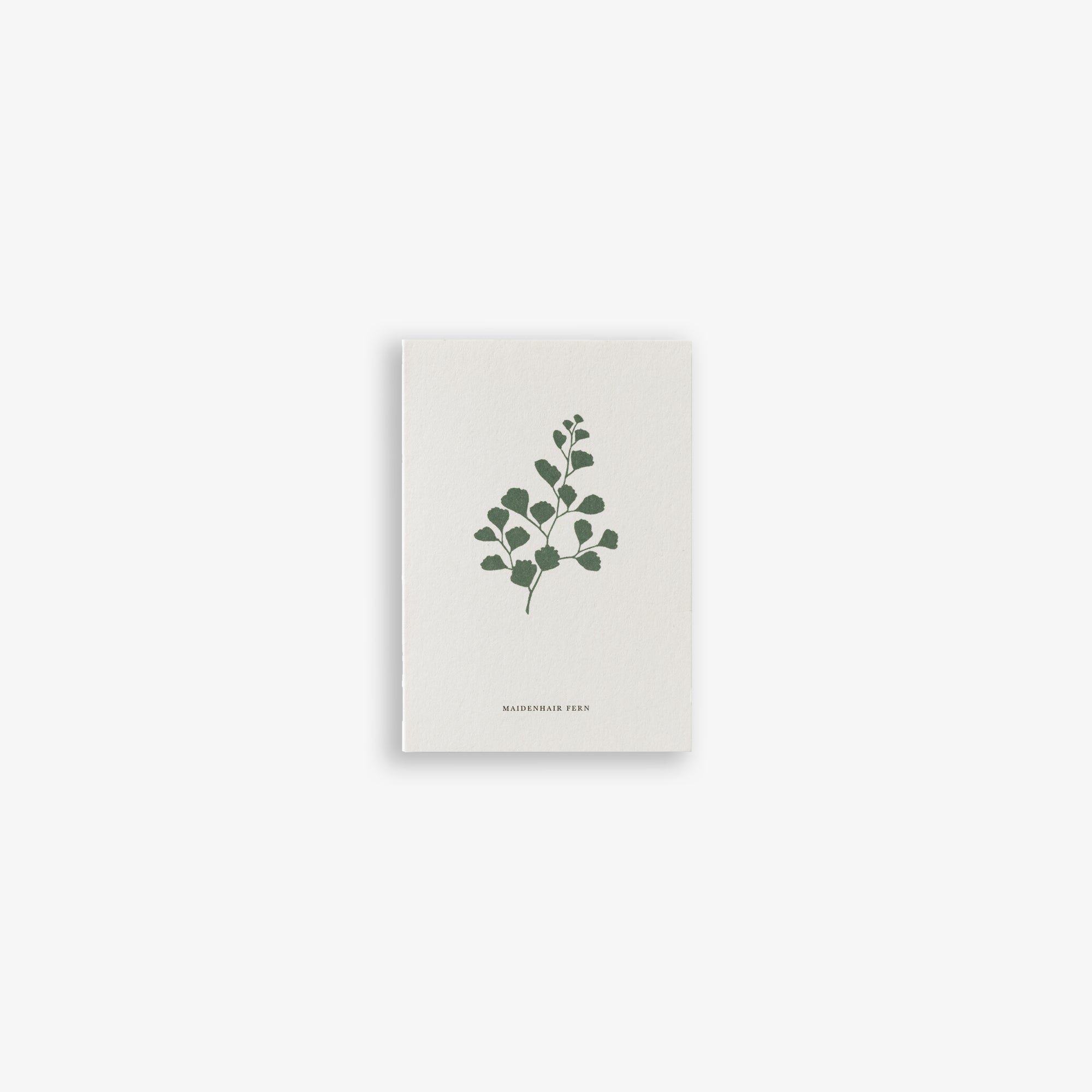 SMALL GREETING CARD // FERN