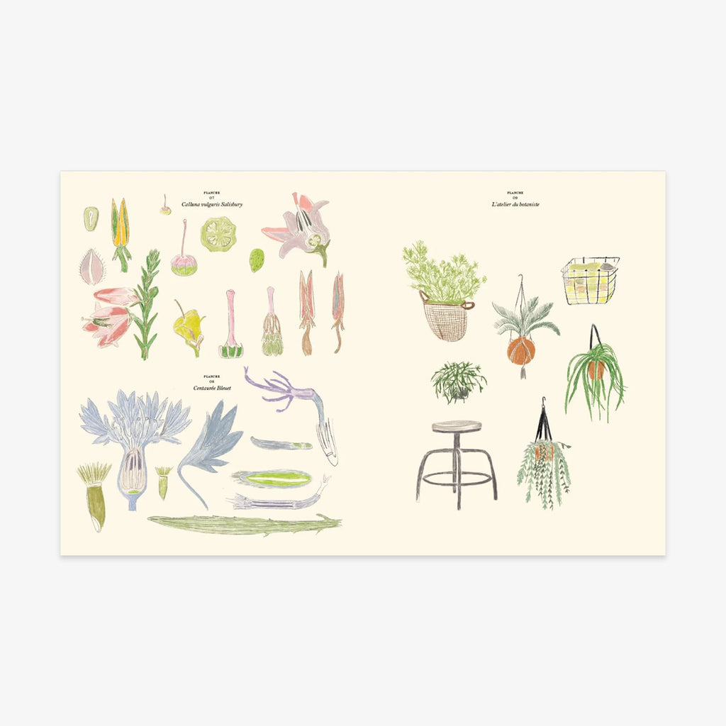 MALE- & KLISTERMÆRKEBOG // LE JARDIN