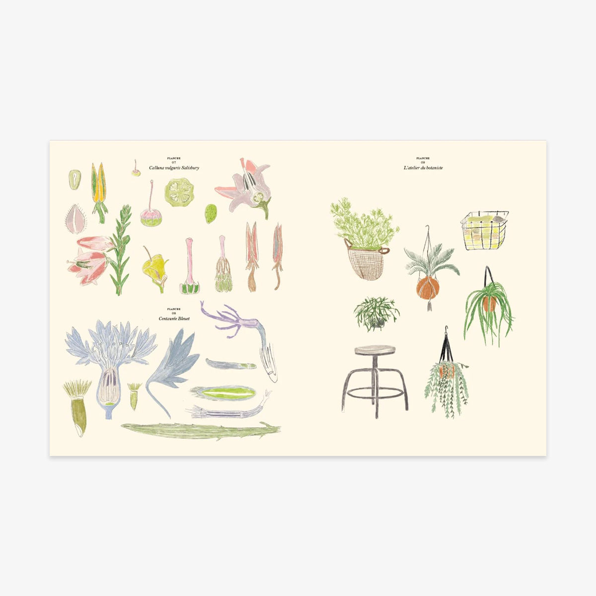 MALE- & KLISTERMÆRKEBOG // LE JARDIN