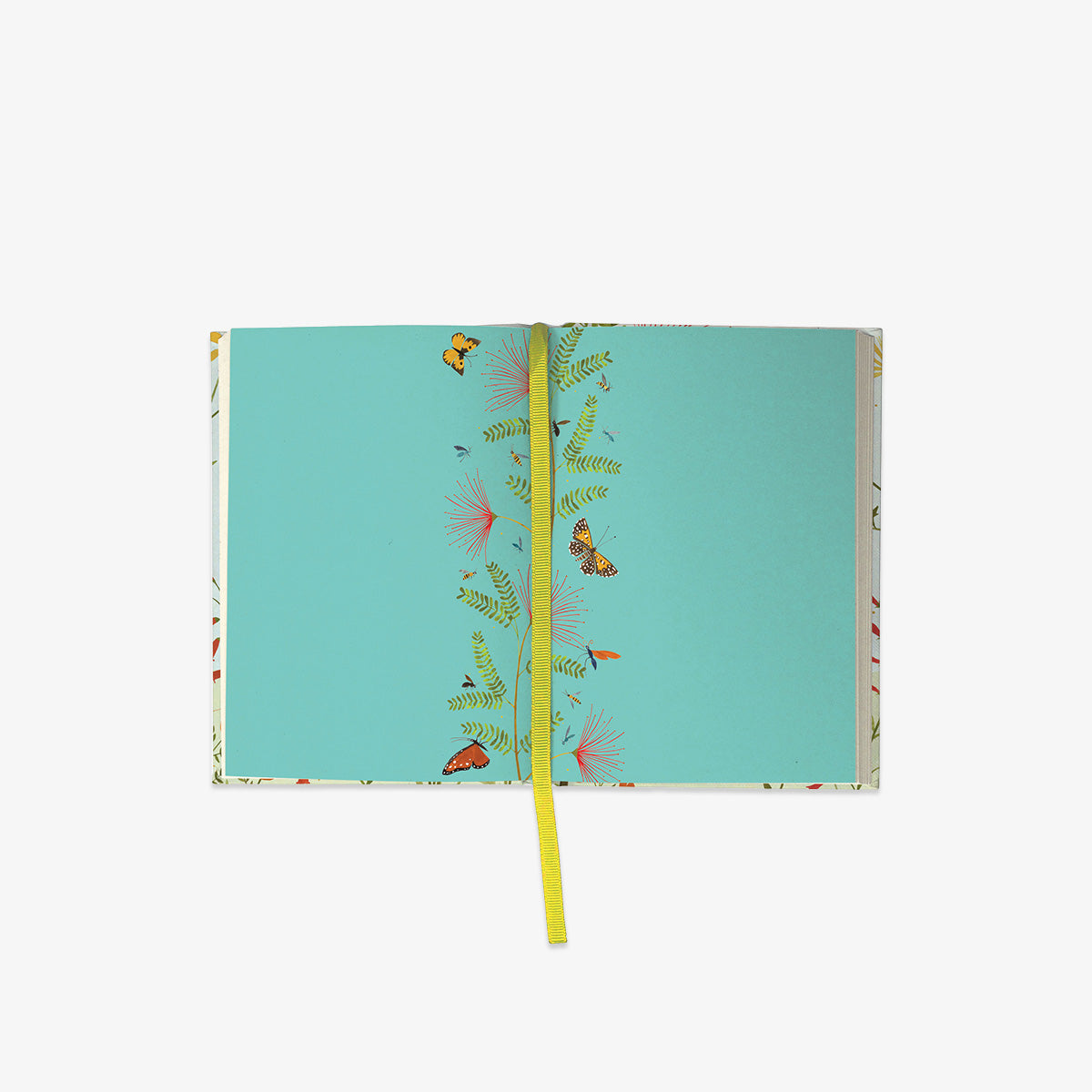 ILLUSTRATED JOURNAL // HUMMINGBIRD