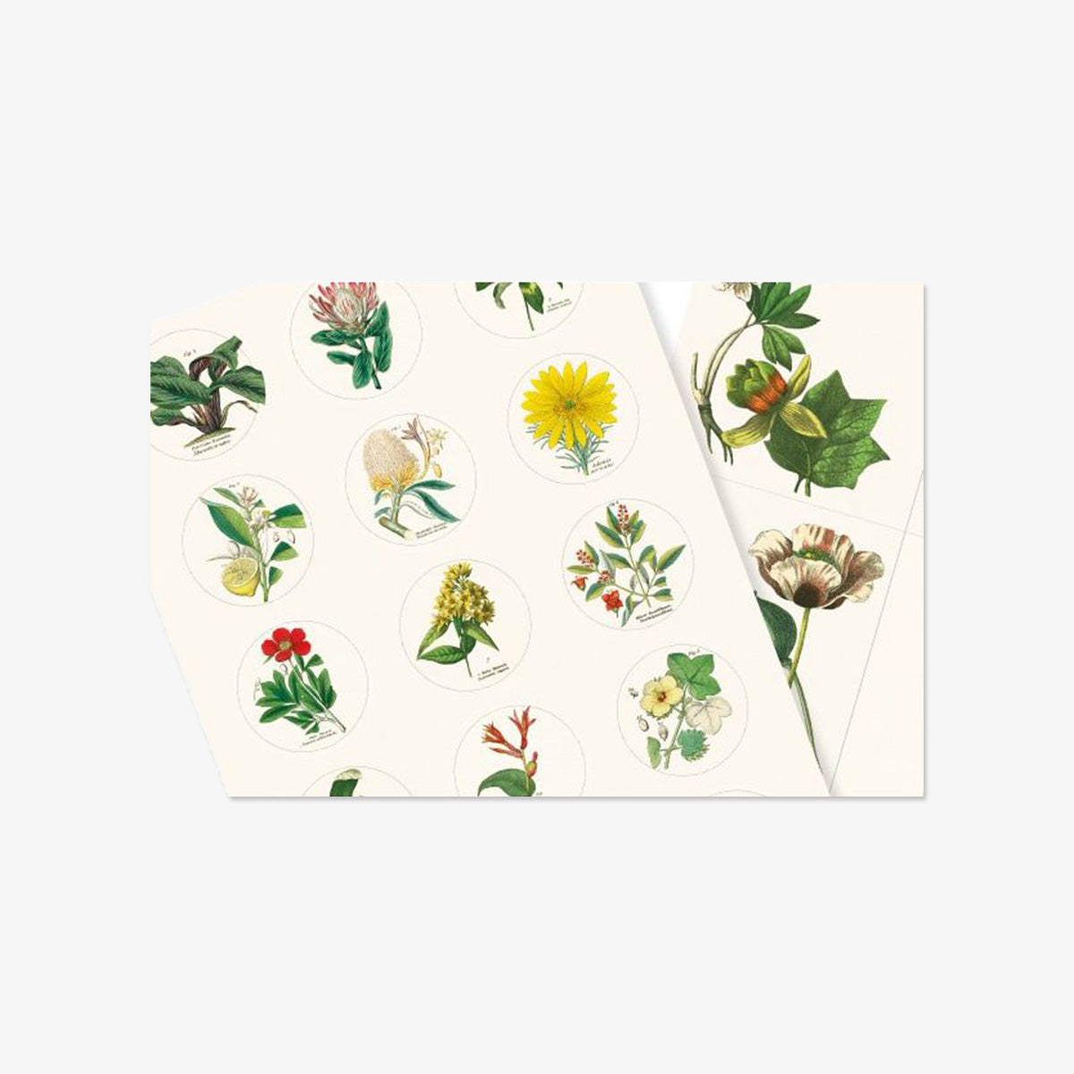 STICKER BOOK // FLORA