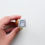 STEMPEL // PINDSVIN
