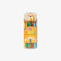 COLOURING PENCILS // SET OF 24