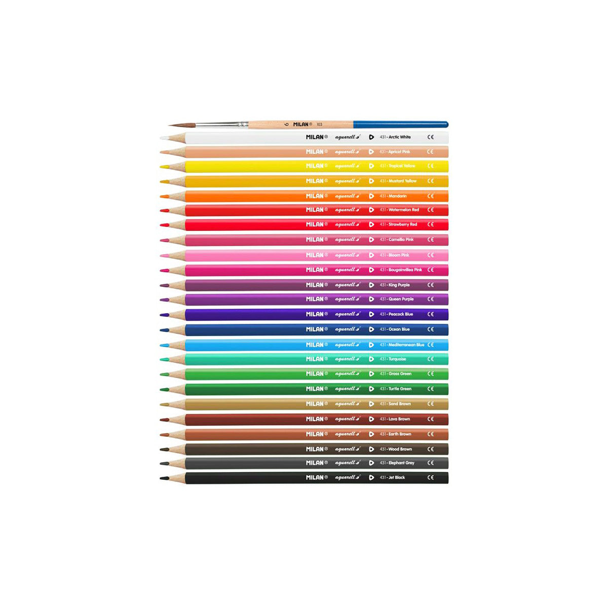WATER SOLUBLE COLOUR PENCILS // SET OF 24
