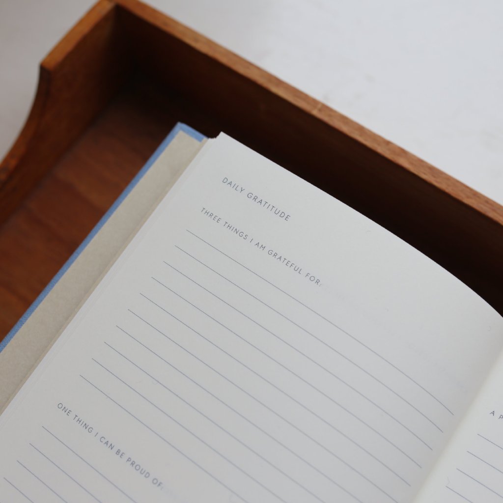 GRATITUDE JOURNAL // TAKNEMMELIGHEDSDAGBOG (ENGELSK)