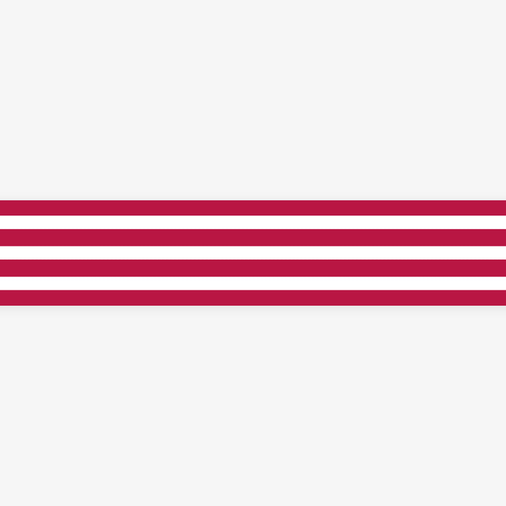 MT MASKING TAPE // BORDER FRAMBOISE