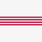 MT MASKING TAPE // BORDER FRAMBOISE
