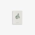 SMALL GREETING CARD // FERN