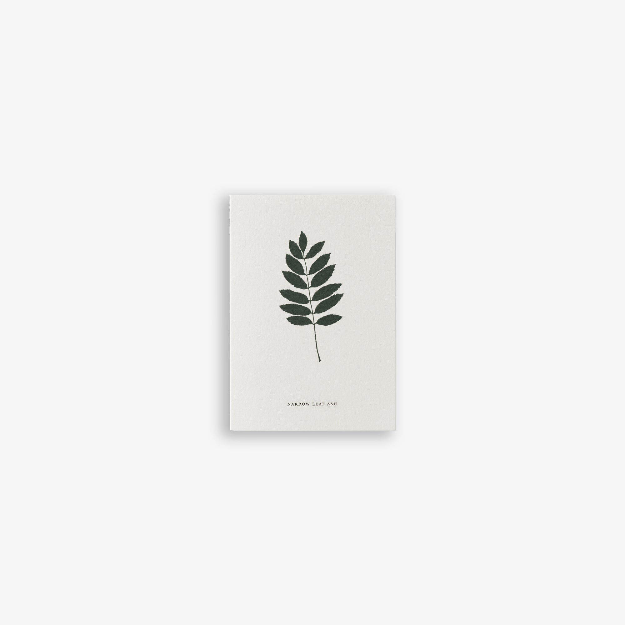 SMALL GREETING CARD // ASH
