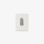 LILLE KORT // PALME II